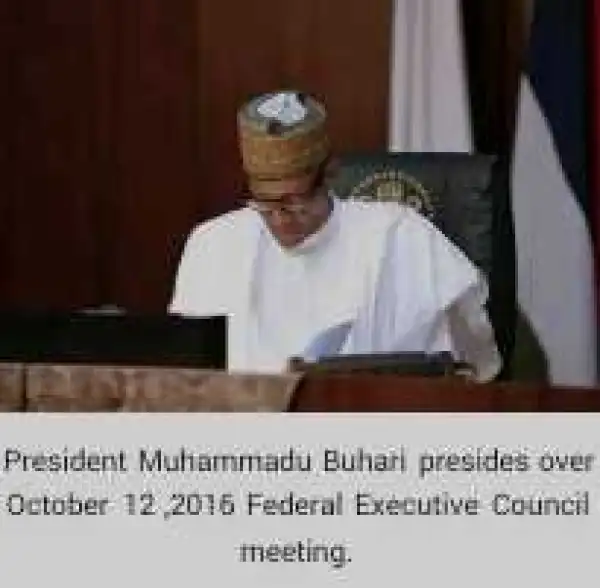 2017 Budget’ll End Nigeria’s Economic Woes – Buhari